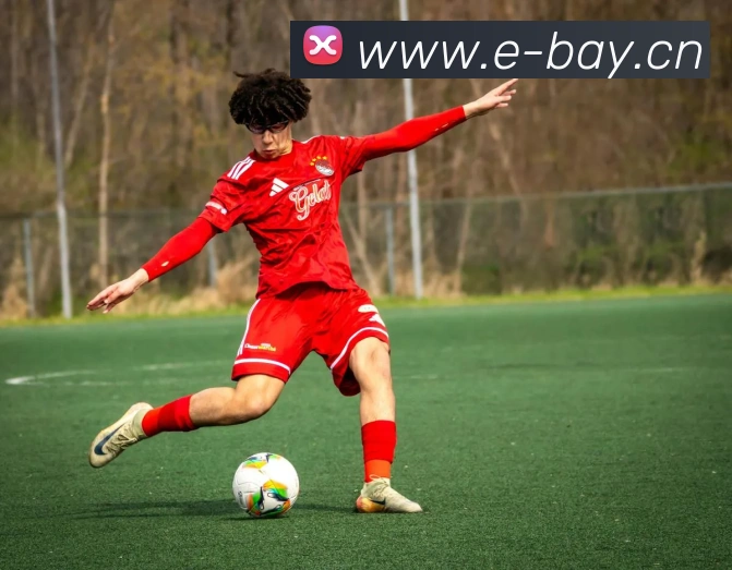 易倍emc官方APP 封面图